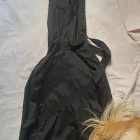 کاور برزنتی گیتار