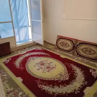 همخونه، همخانه