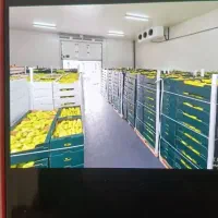 سردخانه صنعتی