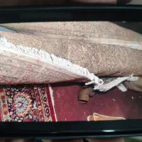 دوعدد قالی تو کرم