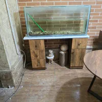 فروش اکواریوم با پایه