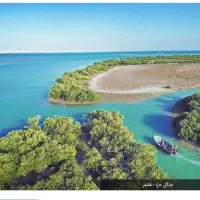 گشت روزانه جزیره قشم|تور و چارتر|قشم, |دیوار