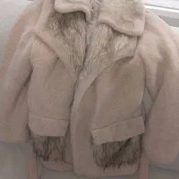 پالتو|لباس|پرند, فاز ۵|دیوار