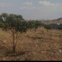 فروش باغ نشاط فاز یک با آب و برق نزدیک به شیراز