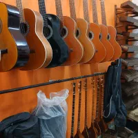 کلیه لوازم موسیقی|سازهای سنتی|تهران, فرحزاد|دیوار