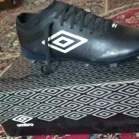 کفش ورزشی|کیف، کفش، کمربند|دوگنبدان, |دیوار