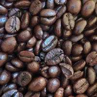 جشنواره فروش ویژه قهوه