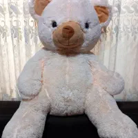 عروسک خرسی بزرگ