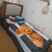 سرویس چوب دومنظوره نو|تخت و سرویس خواب|سبزوار, قائم|دیوار