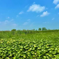 فروش ویلا به سبک وطرح سوئدی|فروش خانه و ویلا|تهران, سعیدآباد|دیوار