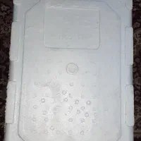 کائوچو برا ماهی|ماهی|هندیجان, |دیوار