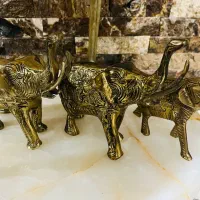 فیل تمام برنج