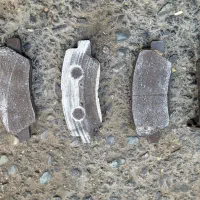 دیسک ترمز و لنت چرخ عقب ۲۰۷  فابریک دست دوم