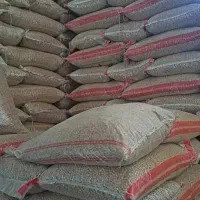 فروش نخود بذری بهاره  درجه یک بصورت نقد واقساط