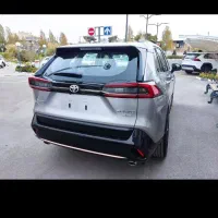 وایلندر 2025 صفر خشک