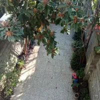 اجاره یک واحد مستقل مسکونی