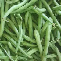 استامبولی تروتازه
