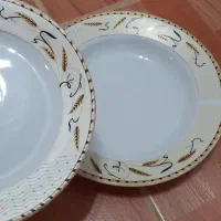بشقاب|ظروف سرو و پذیرایی|آستانه اشرفیه, |دیوار