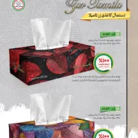 دستمال کاغذی|مواد شوینده و دستمال کاغذی|اصفهان, شاهزید|دیوار
