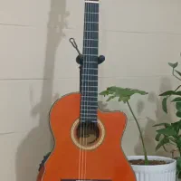 گیتار  واشبرن پیکابدار