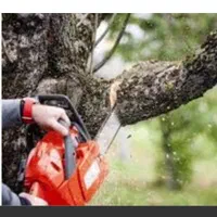 هرسکاریدرختانوسمپاشی|خدمات باغبانی و درختکاری|اردبیل, |دیوار