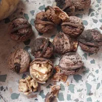 فروشی،گردو
