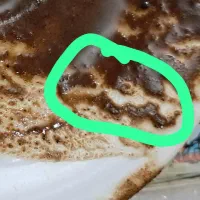 سرکتاب ،فال،دعانویسی