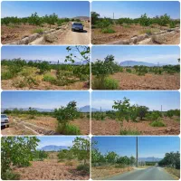 چند قطعه باغ با اتاق و فنس پل زمانخان|فروش دفتر صنعتی، کشاورزی، تجاری|سامان, |دیوار