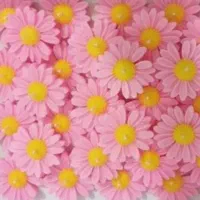 هدیه روز دانش آموز|بدلیجات|زاهدان, |دیوار