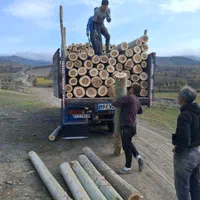 خریدو فروش انواع چوب آلات باغی جنگلی در استان|خدمات باغبانی و درختکاری|اردبیل, |دیوار