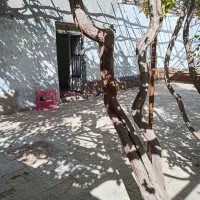 خونه باغ در ماهان|اجارهٔ خانه و ویلا|ماهان, |دیوار