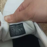 کفش تامی بریتانیایی|کیف، کفش، کمربند|مشهد, شهید علی محمدی|دیوار