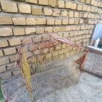 قفس پرنده فروشی|لوازم جانبی حیوانات|آبدانان, |دیوار