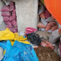 کود مرغ ارگانیک|خدمات باغبانی و درختکاری|رباط‌کریم, نوده|دیوار