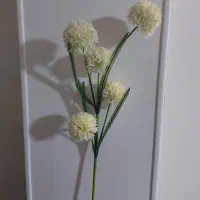 گل مصنوعی داوودی|گل مصنوعی|شهریار, شهریار|دیوار