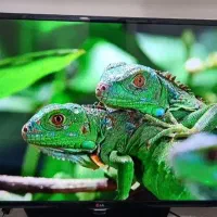 تلویزیون ال جی 50 اینچ