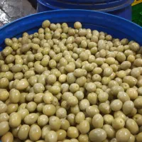 پخش انواع زیتون وروغن زیتون رودبار طارم