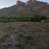 کارگر برای کار در باغ