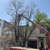 جرثقیل خاوردکل بلند شبانه روزی سبدنفربر یابالابر|خدمات حمل و نقل|مشهد, رسالت|دیوار