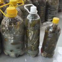 همه نوع مواد و‌غذایی قیمت خوب