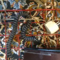 تلفن منزل telephone|تلفن رومیزی|بابل, |دیوار