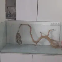 چوب آبنوس آکواریوم