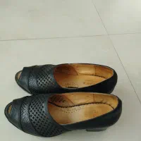 کفش مجلسی|کیف، کفش، کمربند|میانه, |دیوار