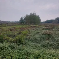 زمین-بر-اتوبان