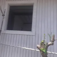گمشده