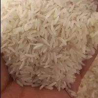 برنج فجر سوزنی 90روزه|خوردنی و آشامیدنی|دلند, |دیوار