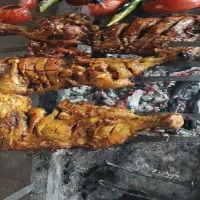 نیروی کار اقا و خانم