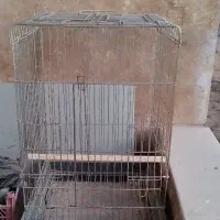 قفس کاسکو بزرگ سالم و تمیز