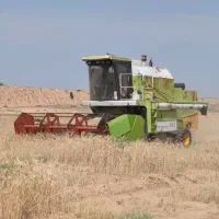 کمباین دوکاره کم کار و استثنائی مدل 84|خودرو سنگین|اشنویه, |دیوار