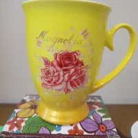 ماگهای وارداتی بسیار با کیفیت